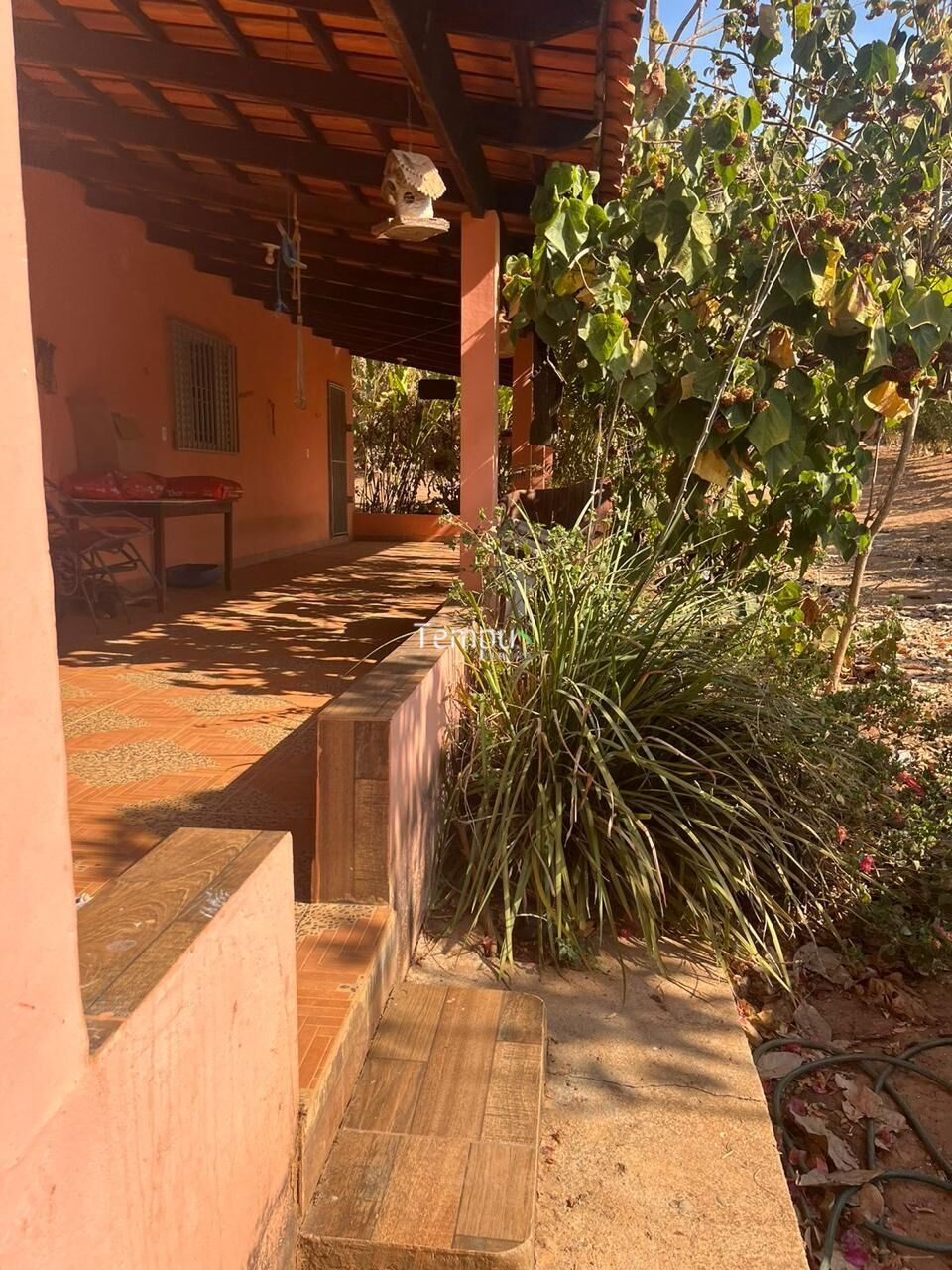 Fazenda à venda com 3 quartos, 3600m² - Foto 2