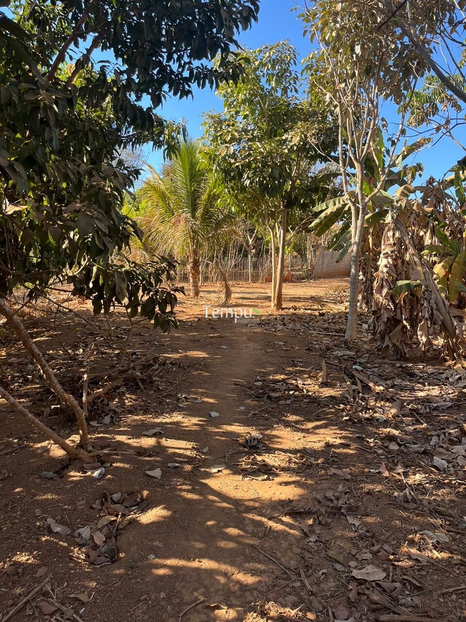 Fazenda à venda com 3 quartos, 3600m² - Foto 1