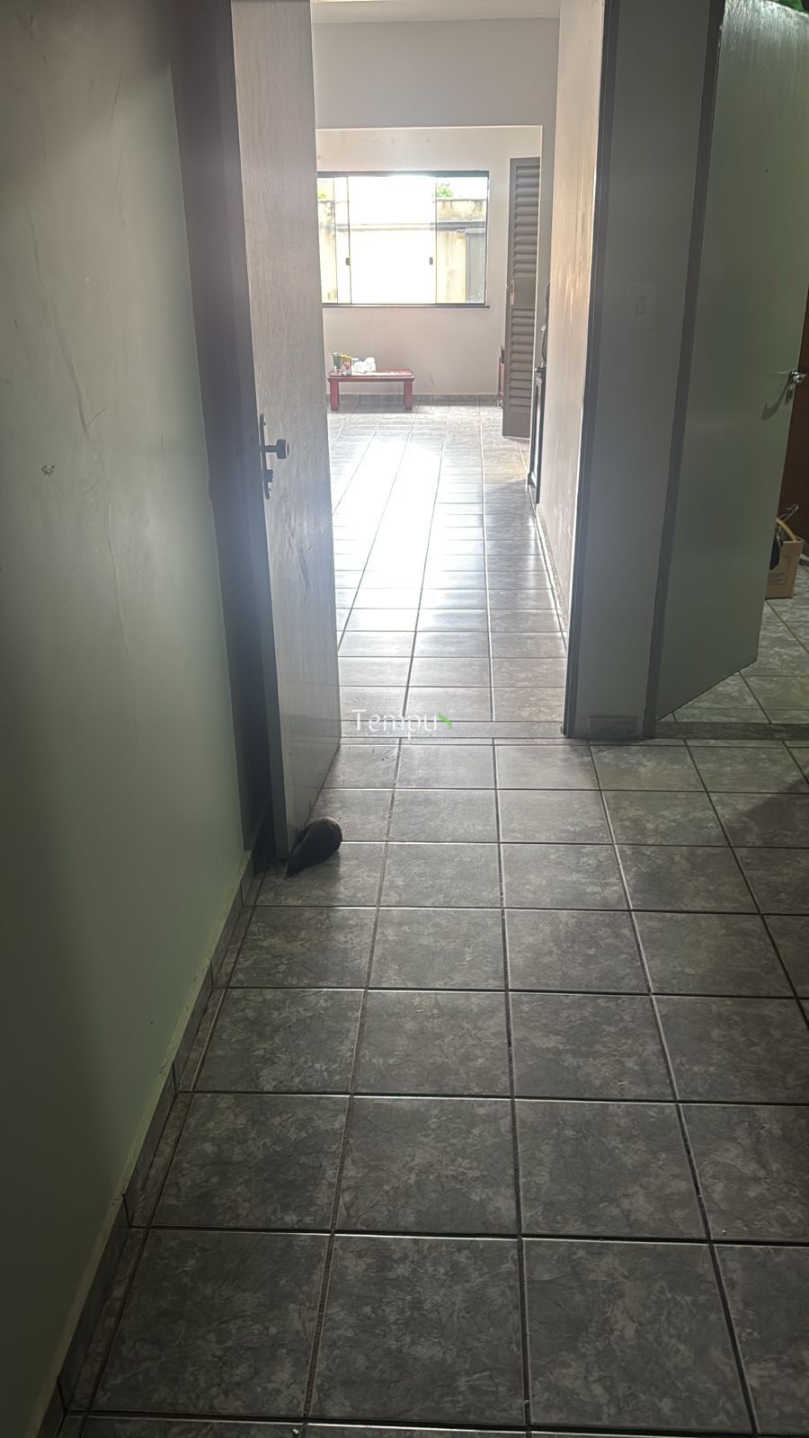 Casa, 4 quartos, 270 m² - Foto 5