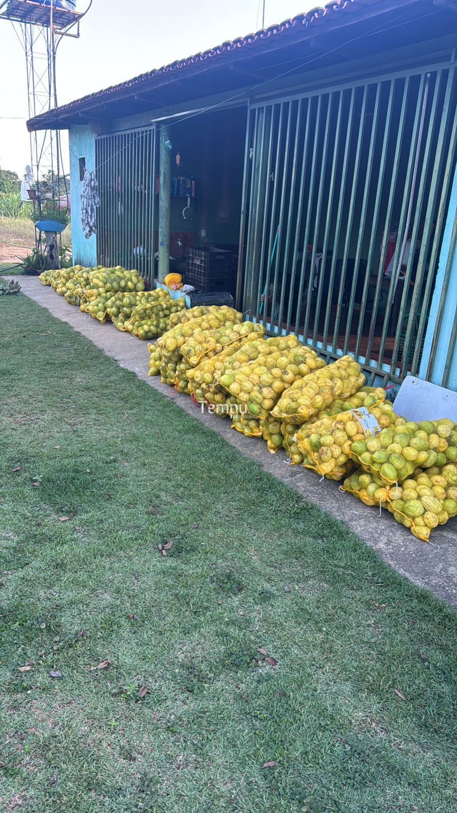 Chácara, 3 quartos, 5 hectares - Foto 1