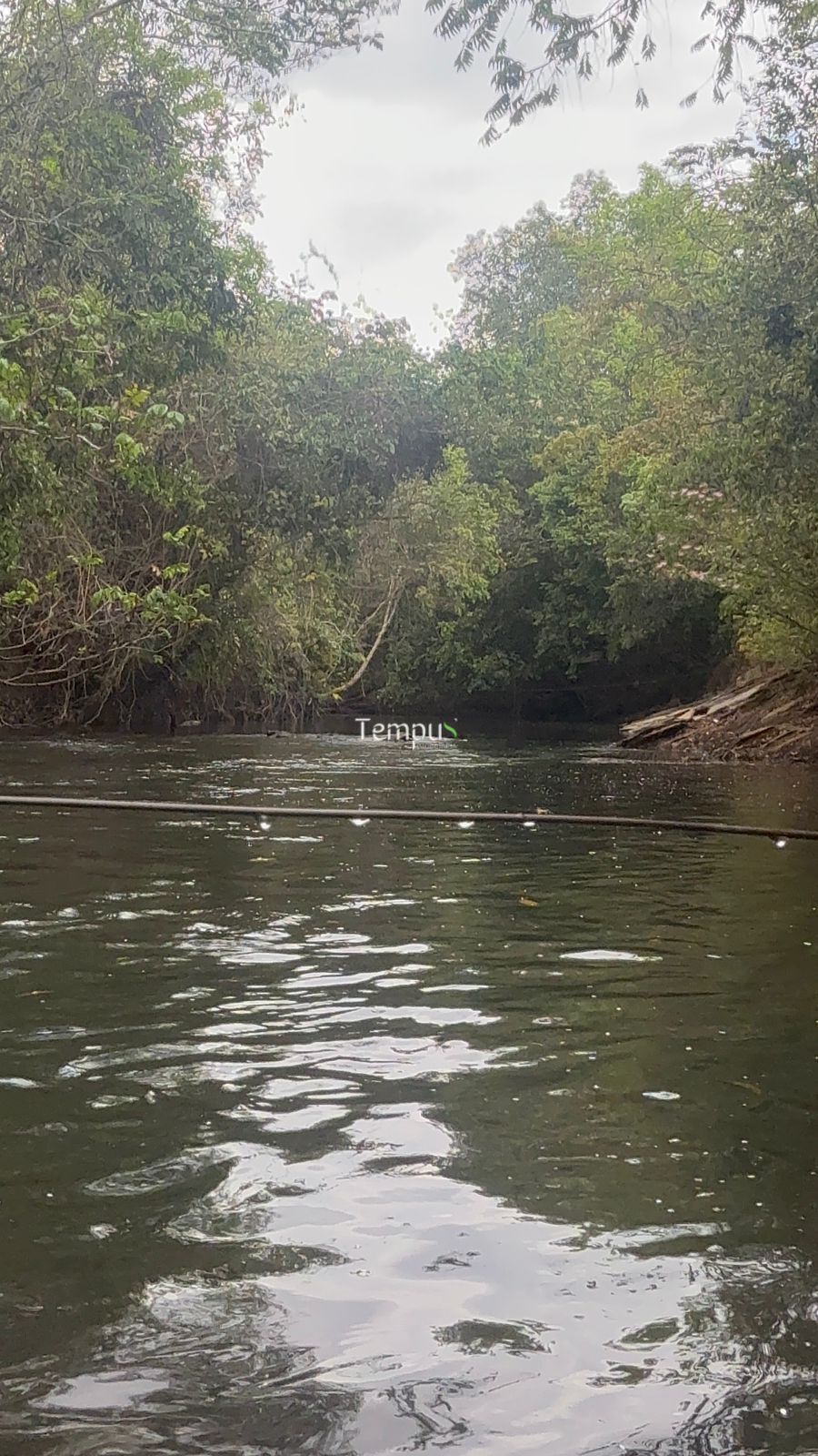 Chácara, 3 quartos, 5 hectares - Foto 20