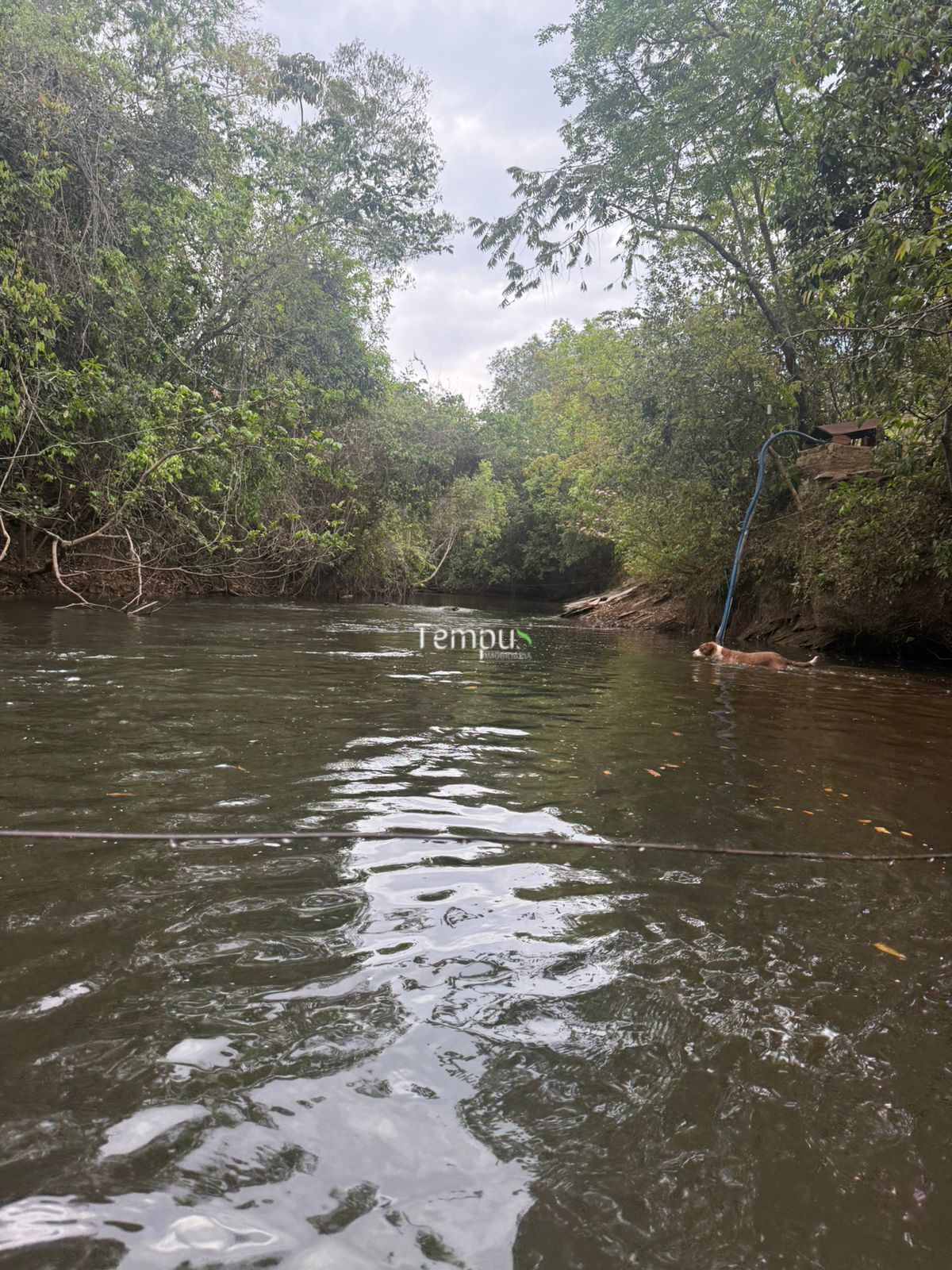 Chácara, 3 quartos, 5 hectares - Foto 22