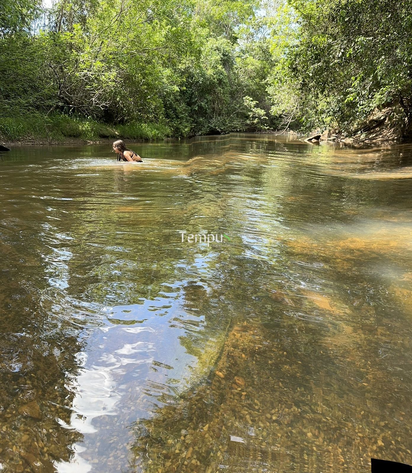 Chácara, 3 quartos, 5 hectares - Foto 13