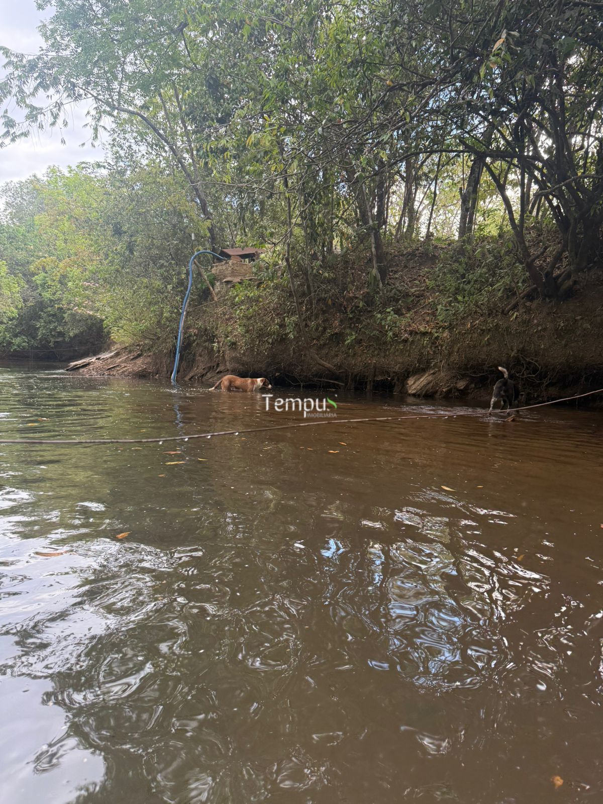 Chácara, 3 quartos, 5 hectares - Foto 23