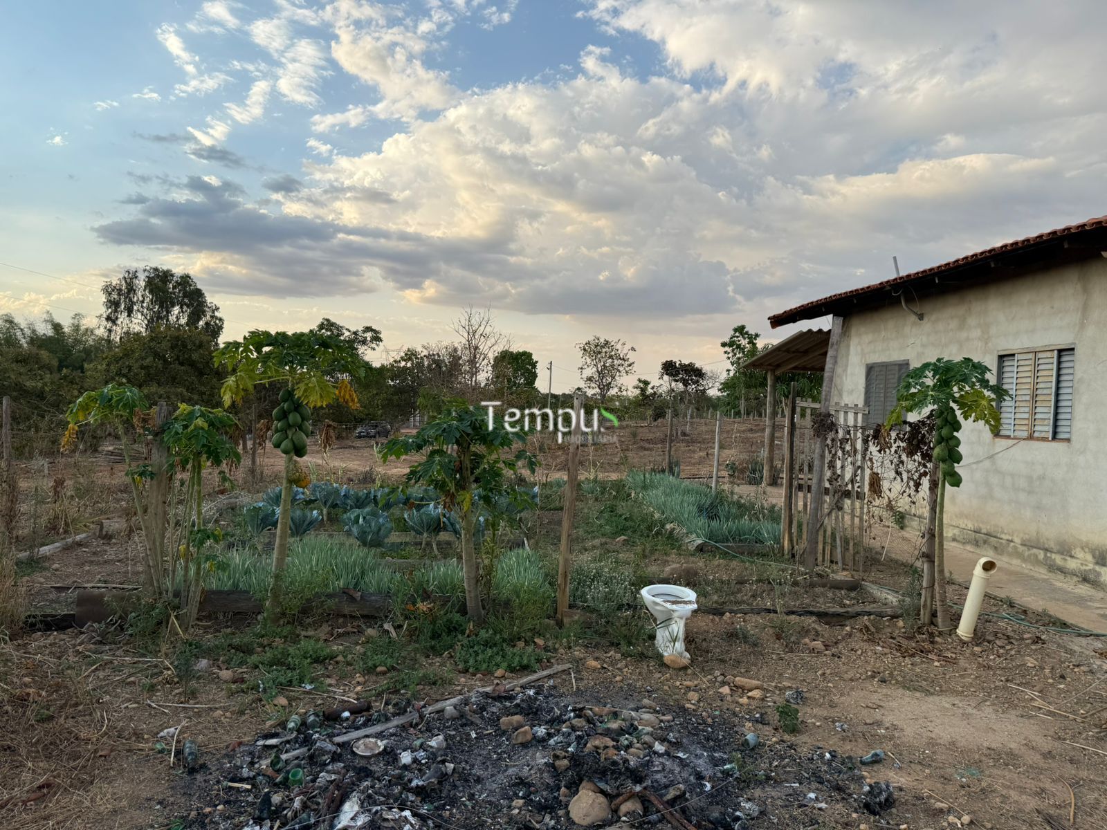 Chácara, 3 quartos, 5 hectares - Foto 15