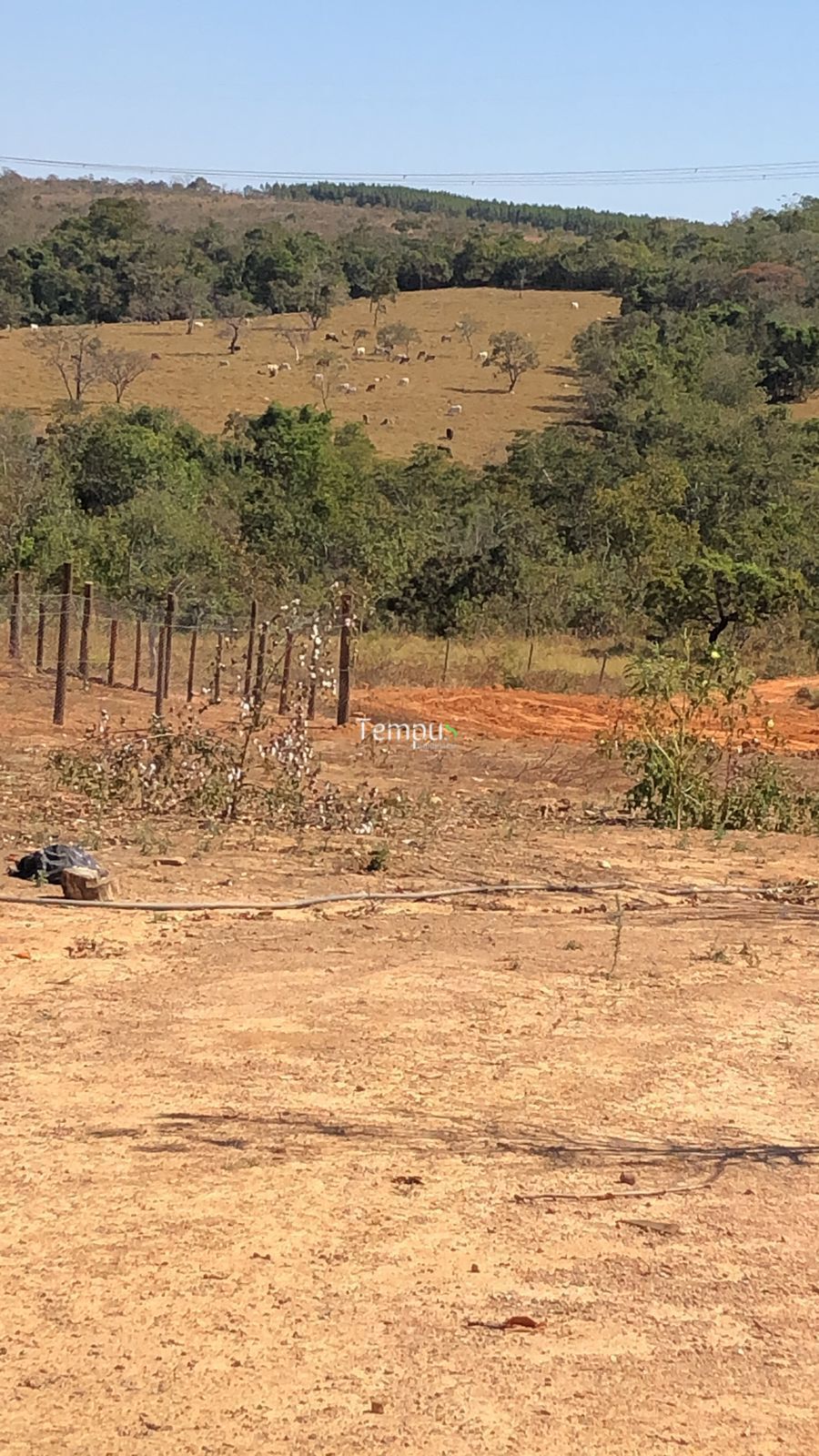 Chácara, 3 quartos, 5 hectares - Foto 3