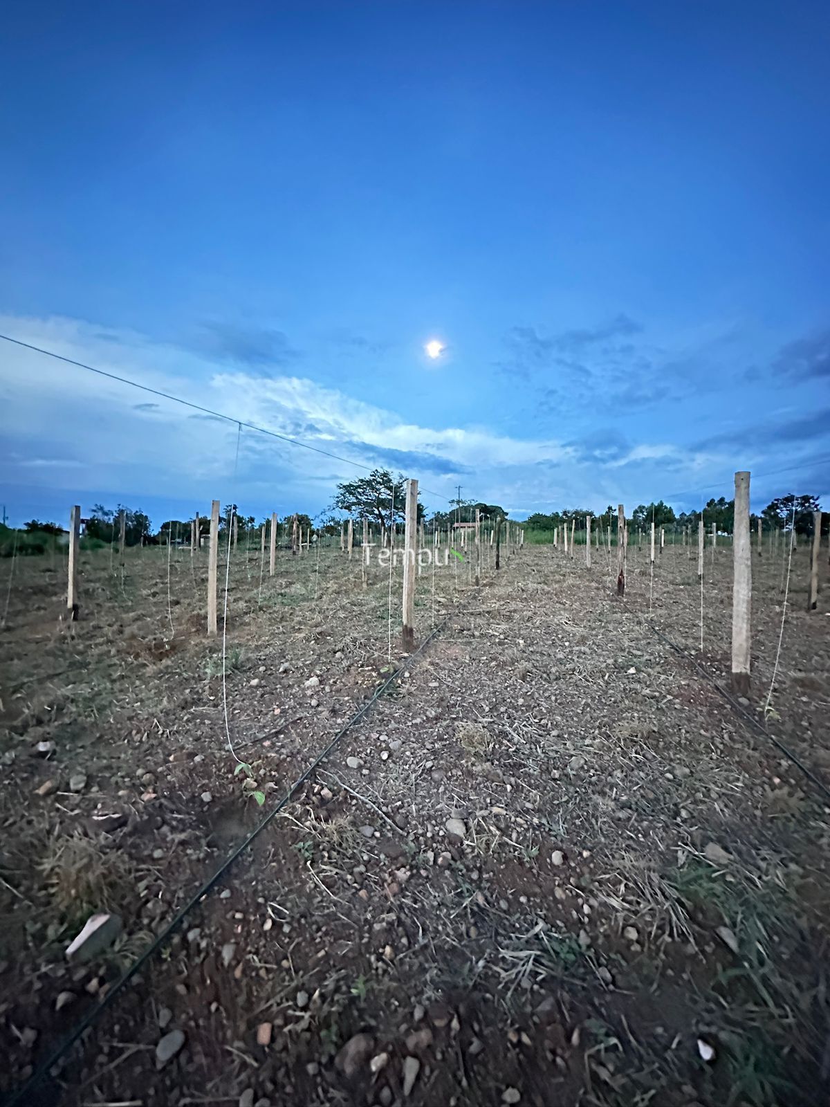 Chácara, 3 quartos, 5 hectares - Foto 11