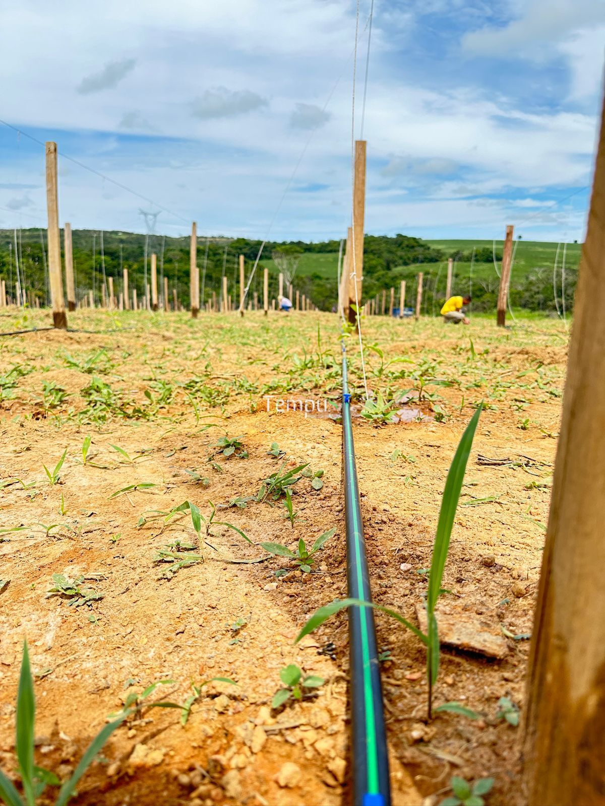 Chácara, 3 quartos, 5 hectares - Foto 10