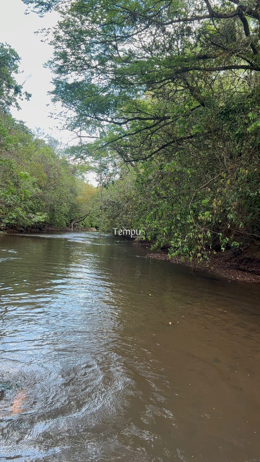 Chácara, 3 quartos, 5 hectares - Foto 21