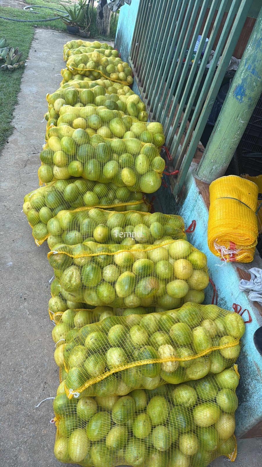 Chácara, 3 quartos, 5 hectares - Foto 2