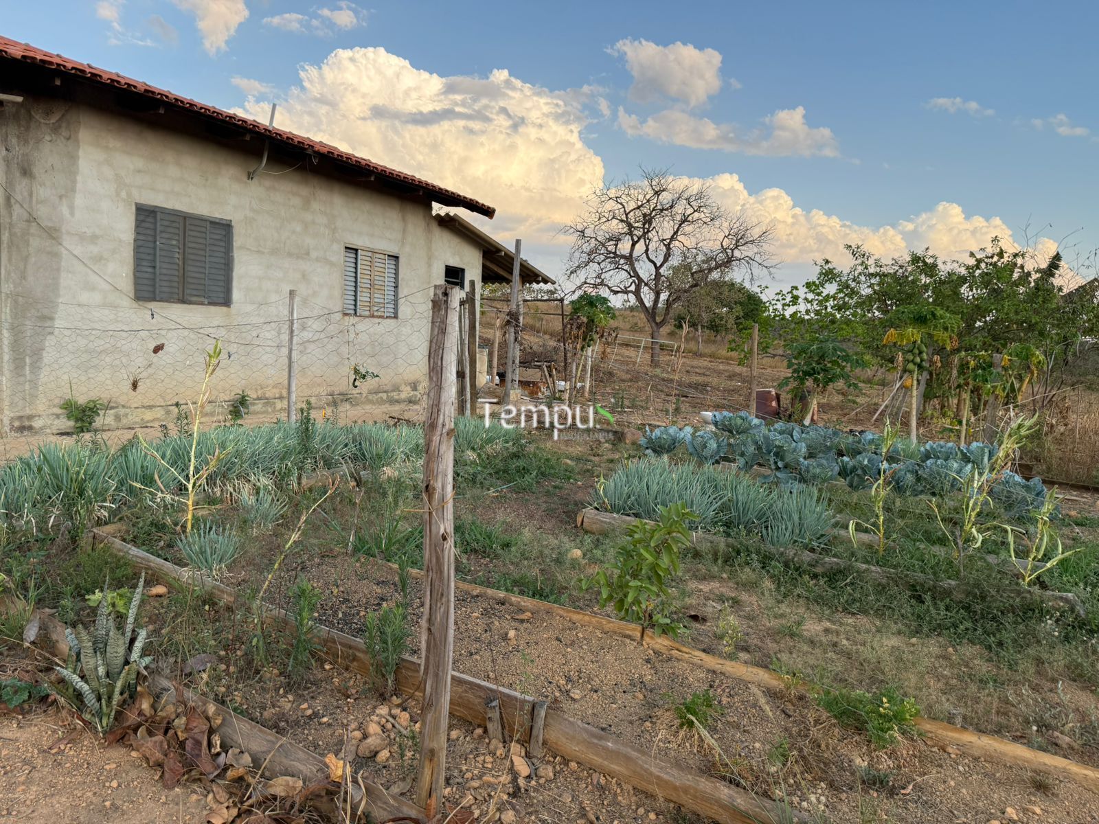 Chácara, 3 quartos, 5 hectares - Foto 19