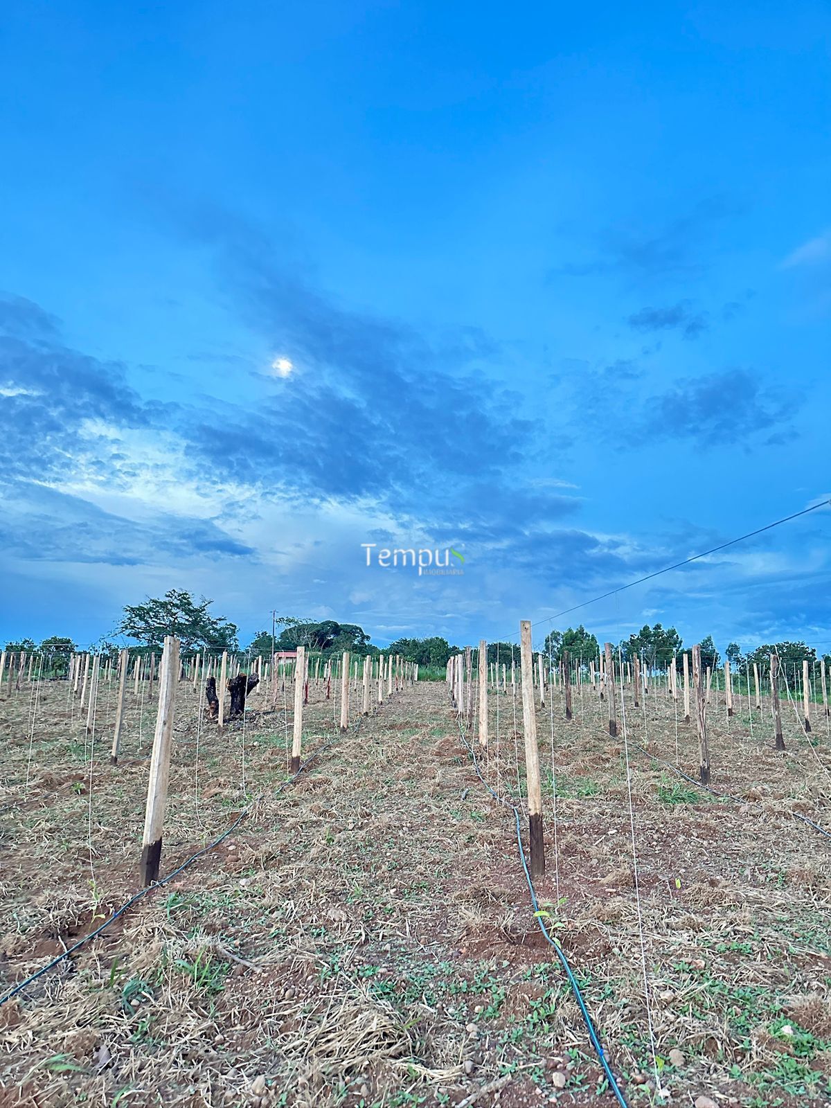 Chácara, 3 quartos, 5 hectares - Foto 9