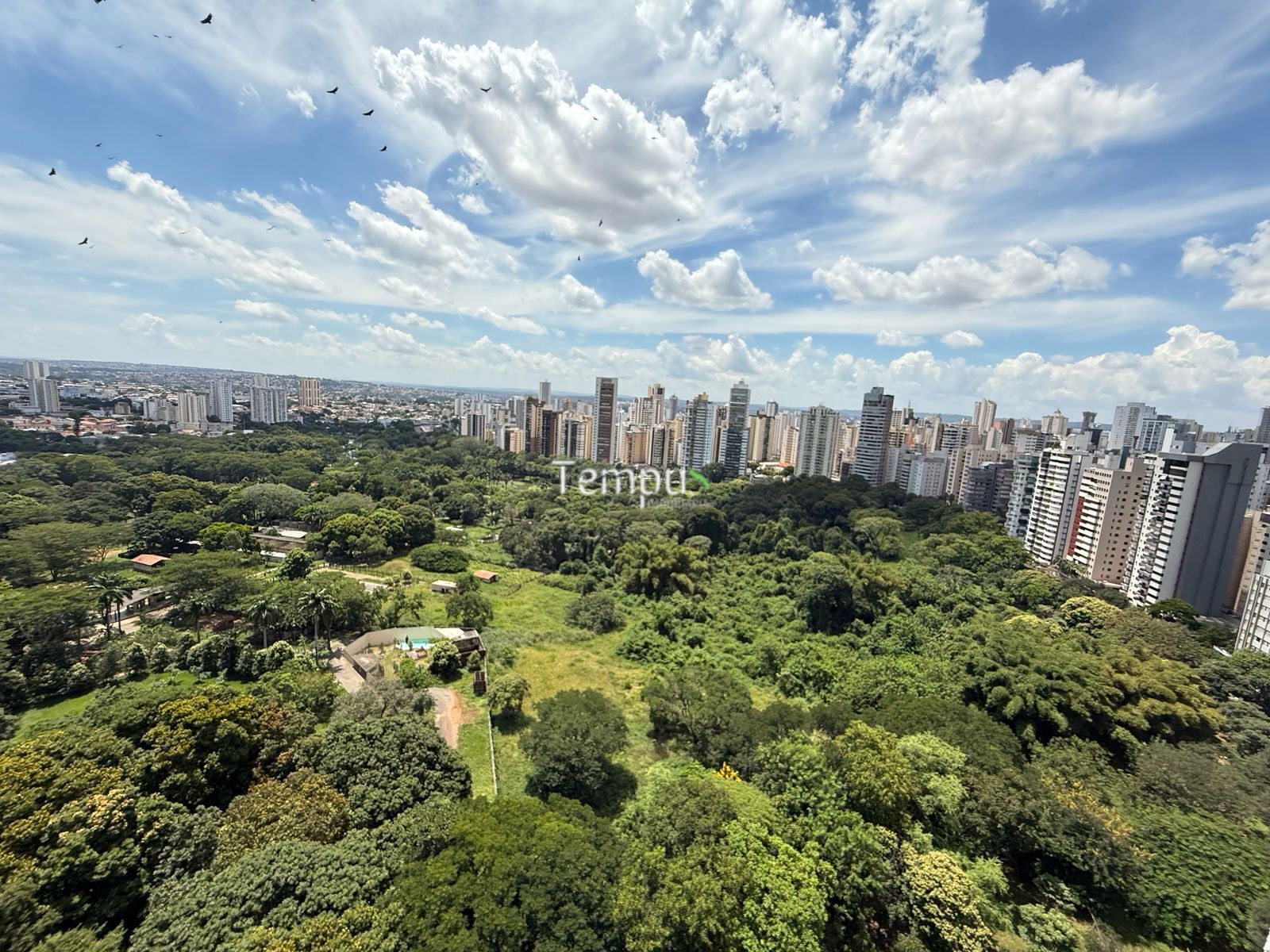 Apartamento, 4 quartos, 264 m² - Foto 37