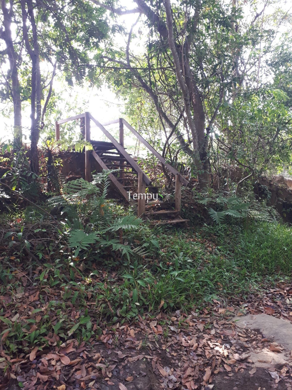 Sítio, 5000 m² - Foto 10