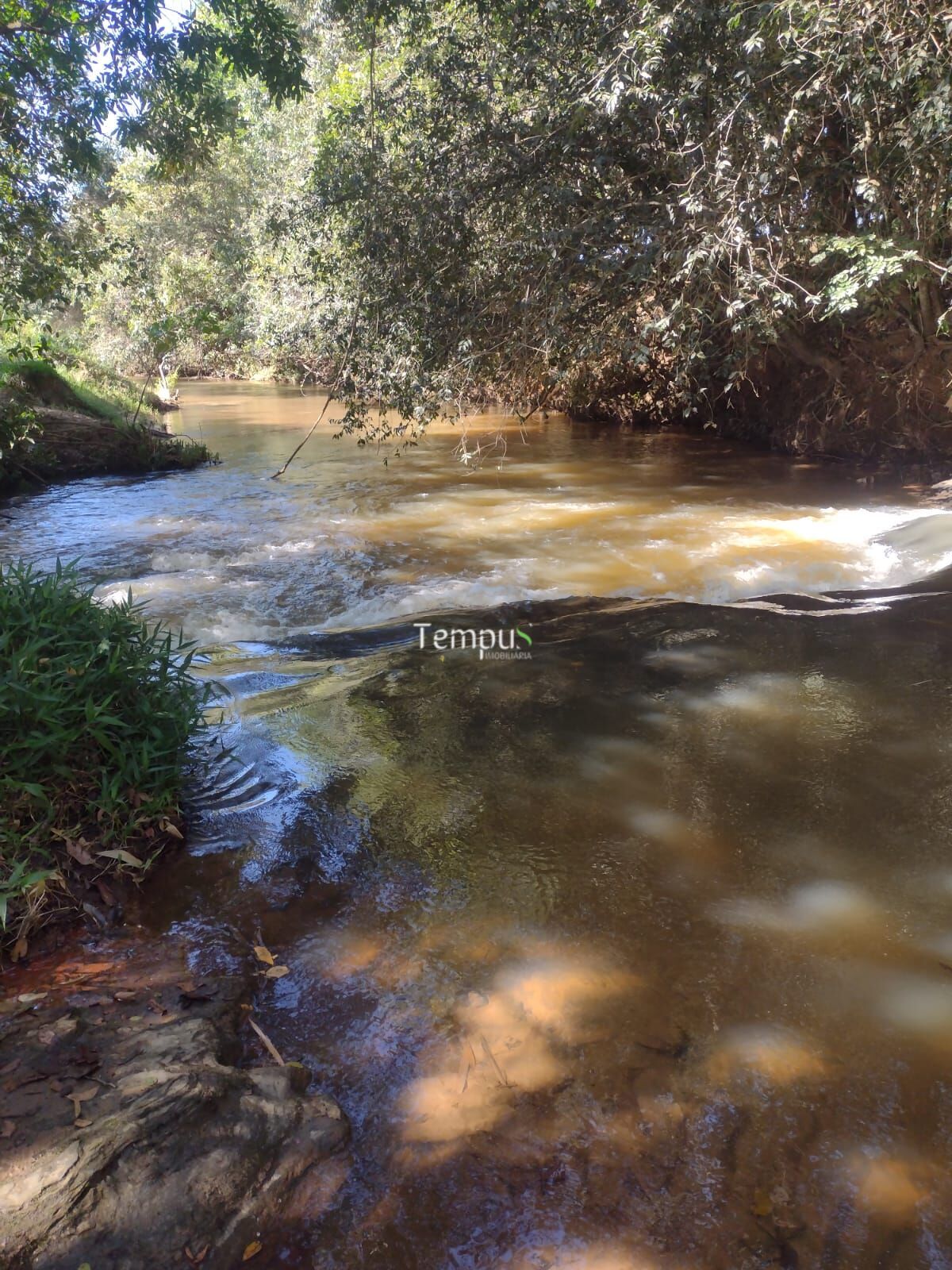 Sítio, 5000 m² - Foto 11