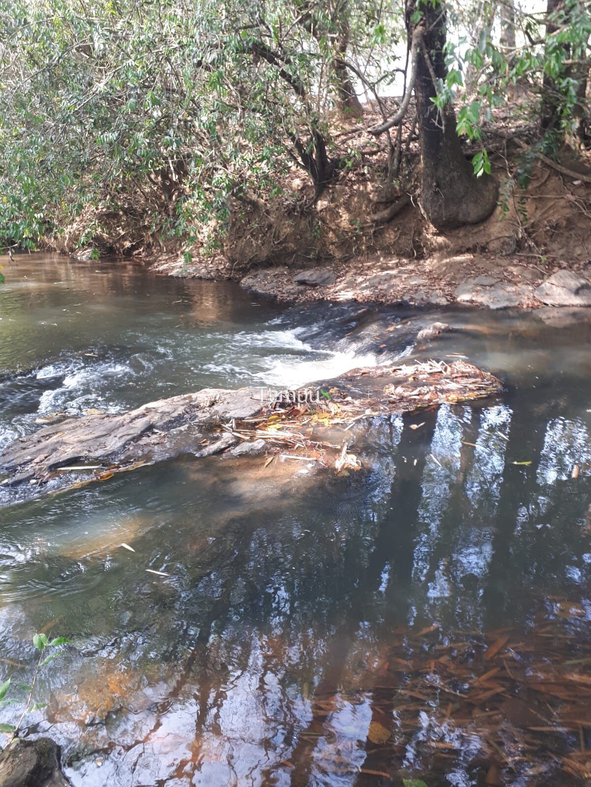 Sítio, 5000 m² - Foto 7