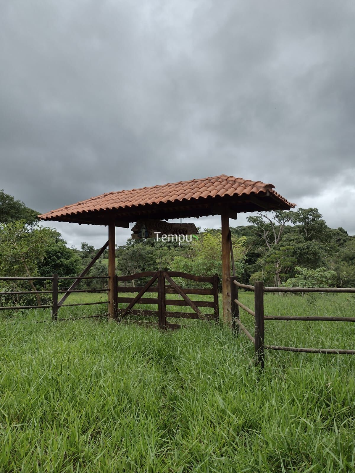 Sítio, 5000 m² - Foto 9