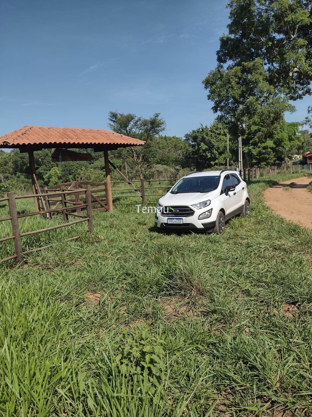 Sítio, 5000 m² - Foto 4