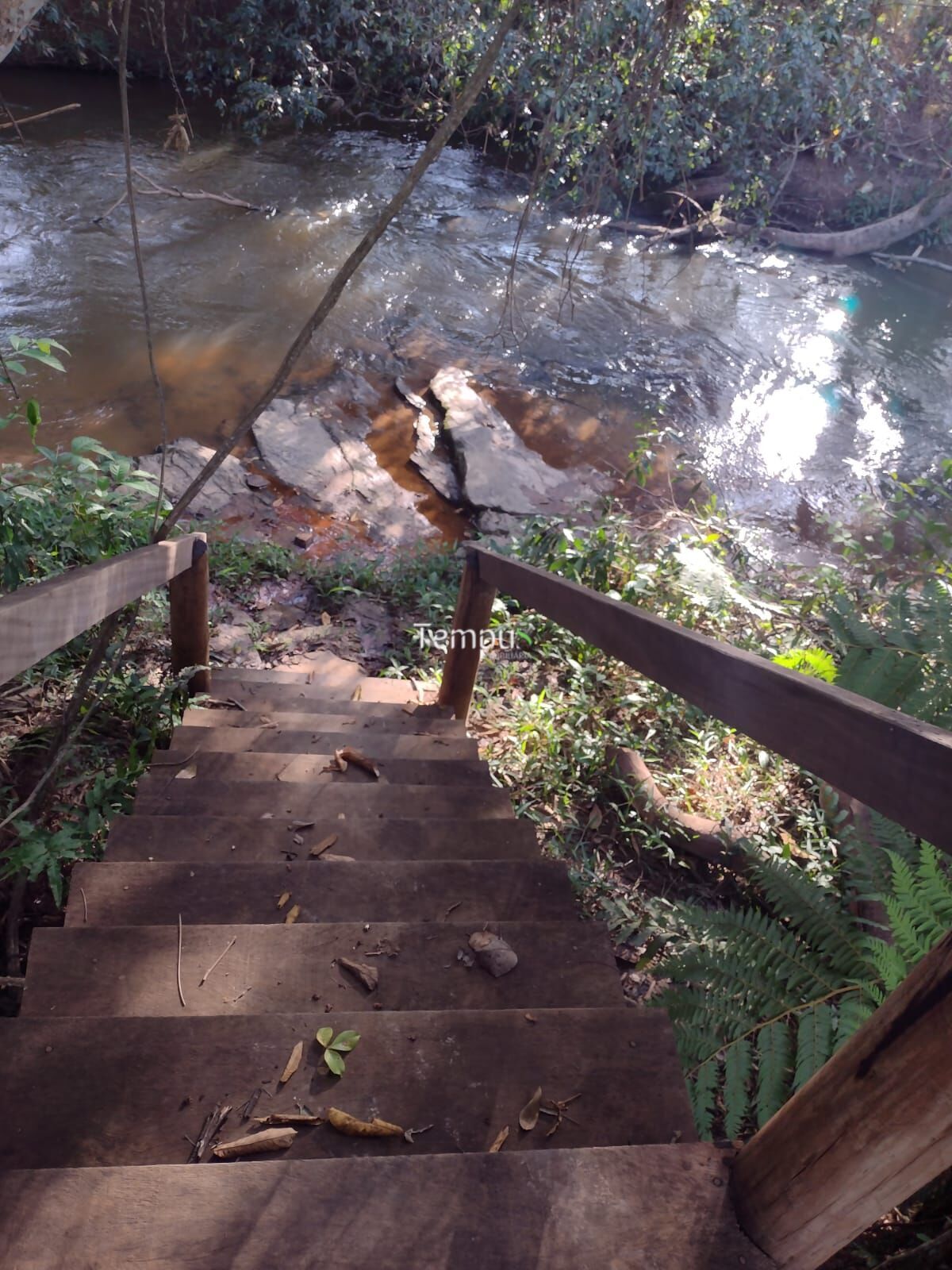 Sítio, 5000 m² - Foto 8