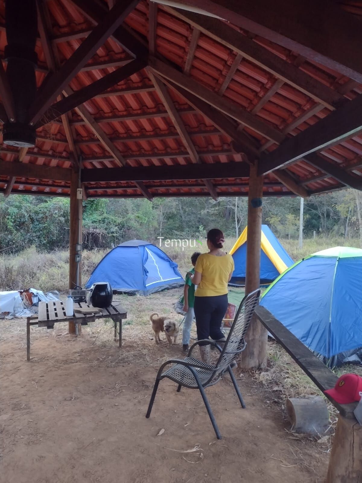 Sítio, 5000 m² - Foto 5