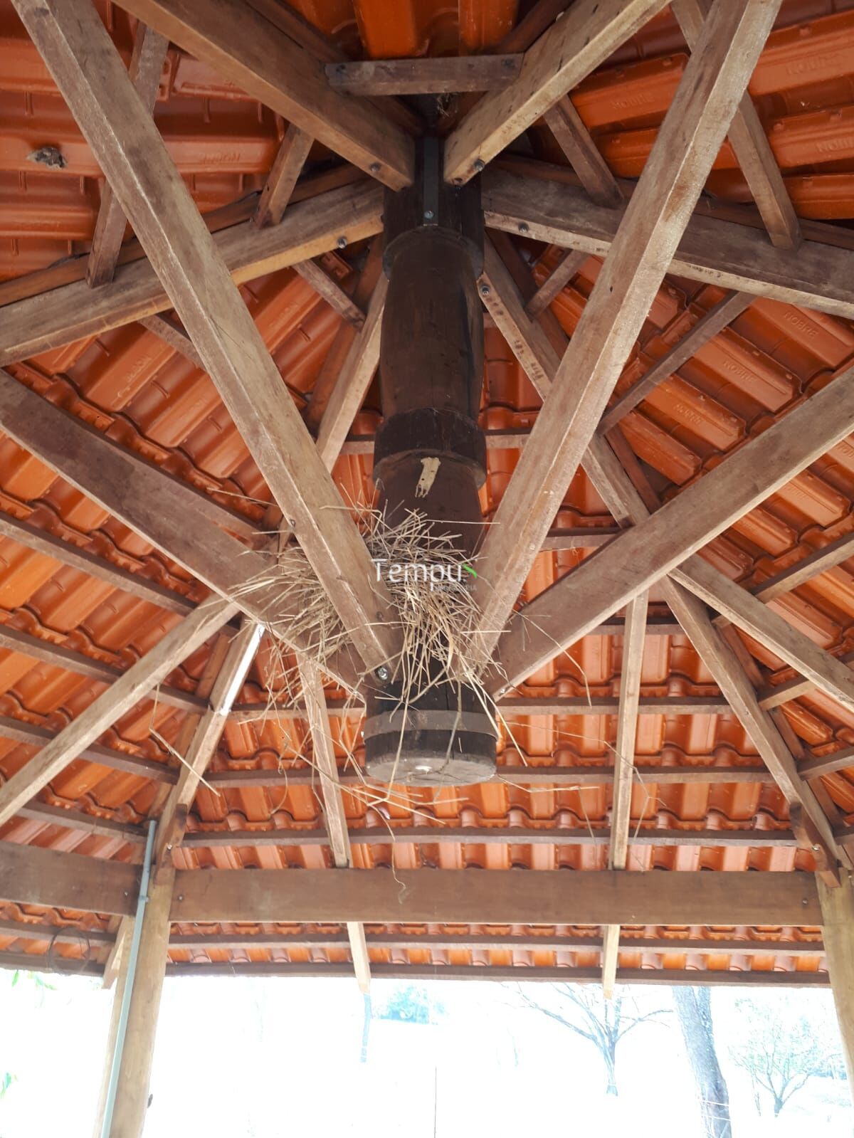 Sítio, 5000 m² - Foto 6