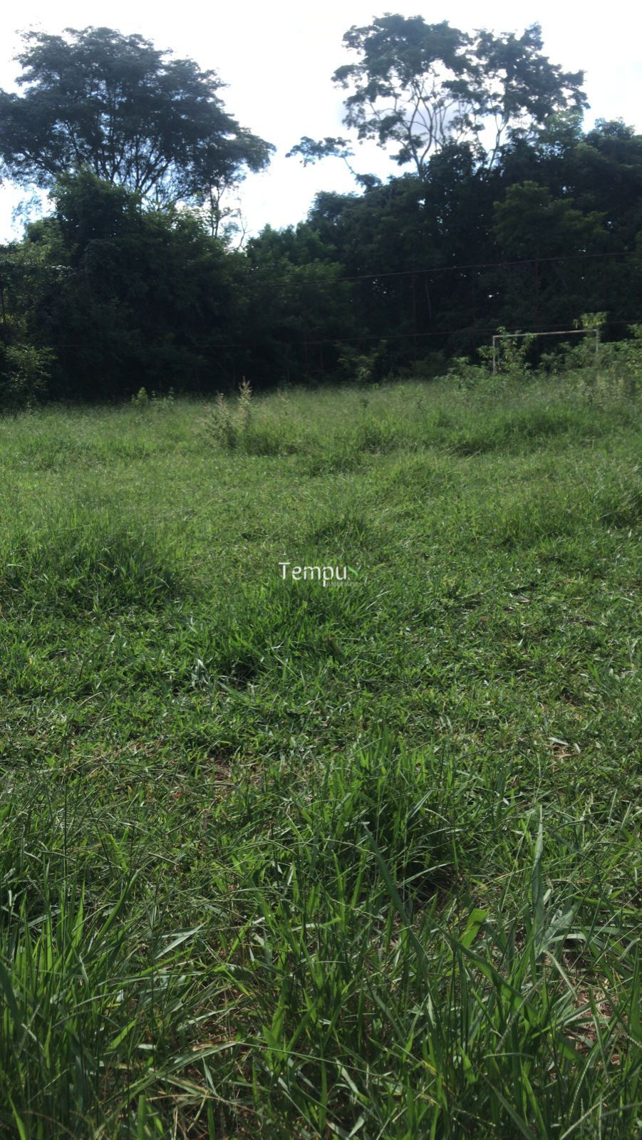 Chácara, 1 hectares - Foto 4