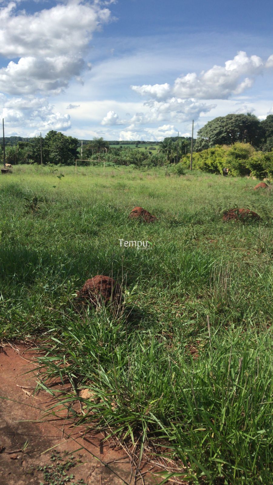 Chácara, 1 hectares - Foto 8