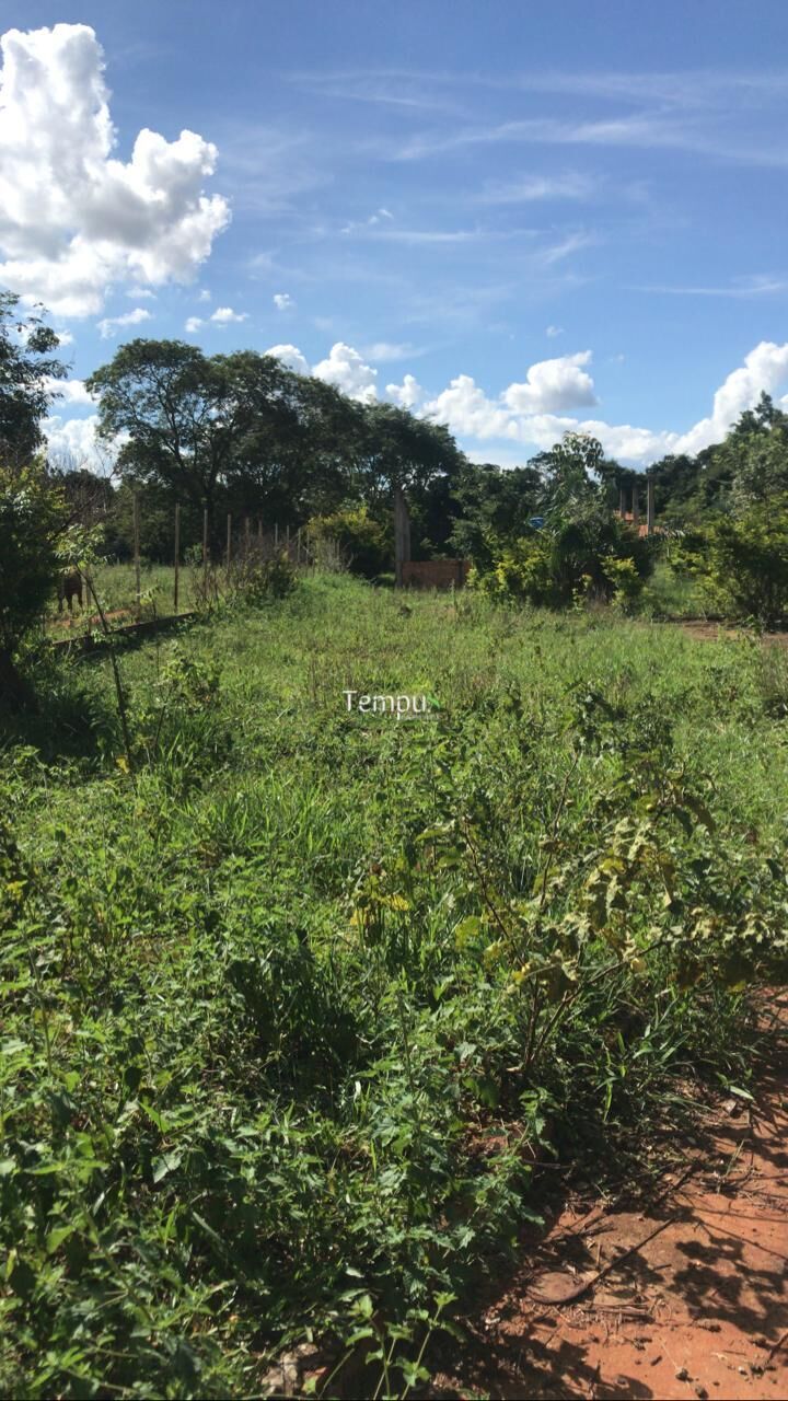 Chácara, 1 hectares - Foto 10