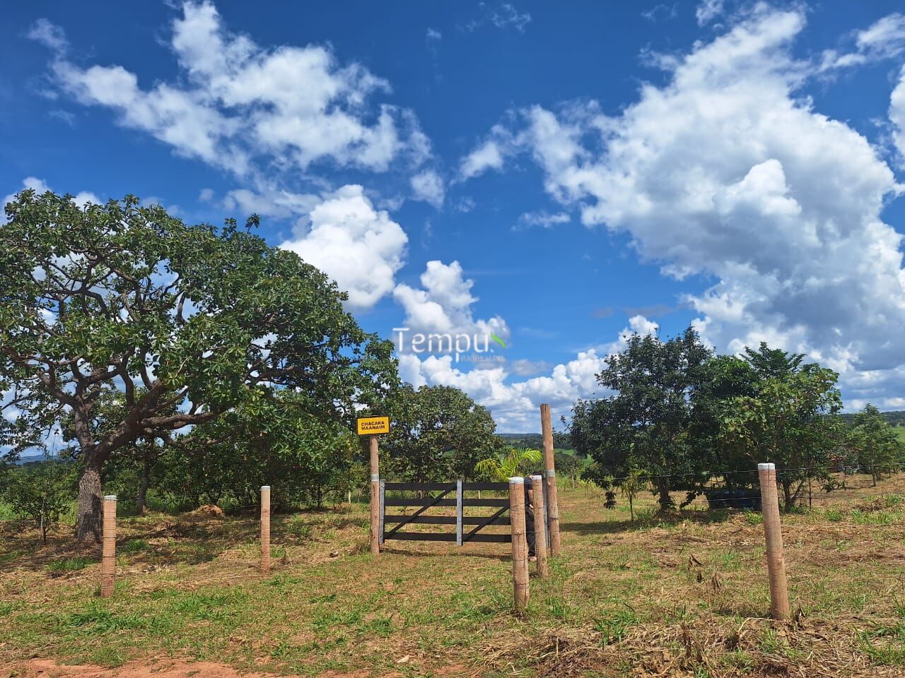 Fazenda à venda com 3 quartos, 20000m² - Foto 10