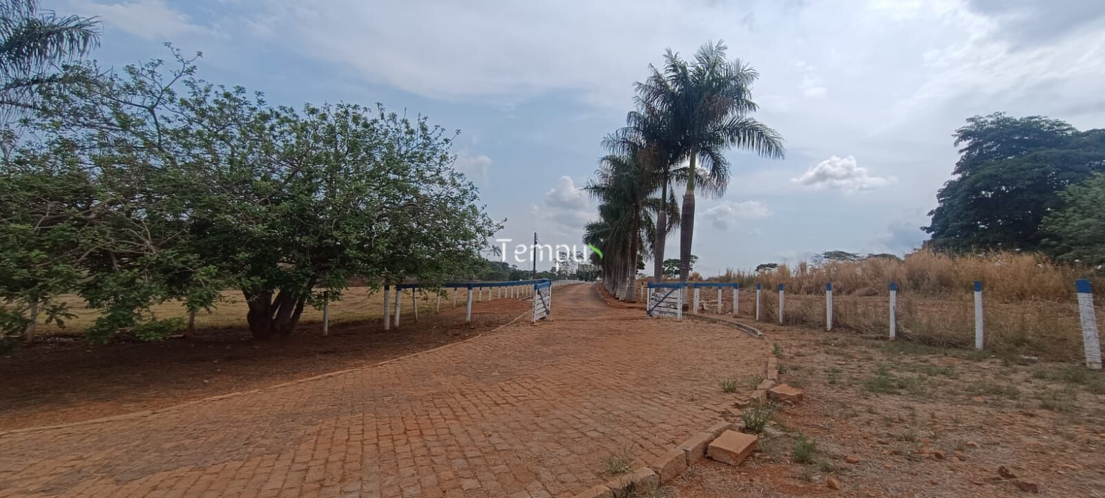 Fazenda à venda com 15 quartos, 51500m² - Foto 25