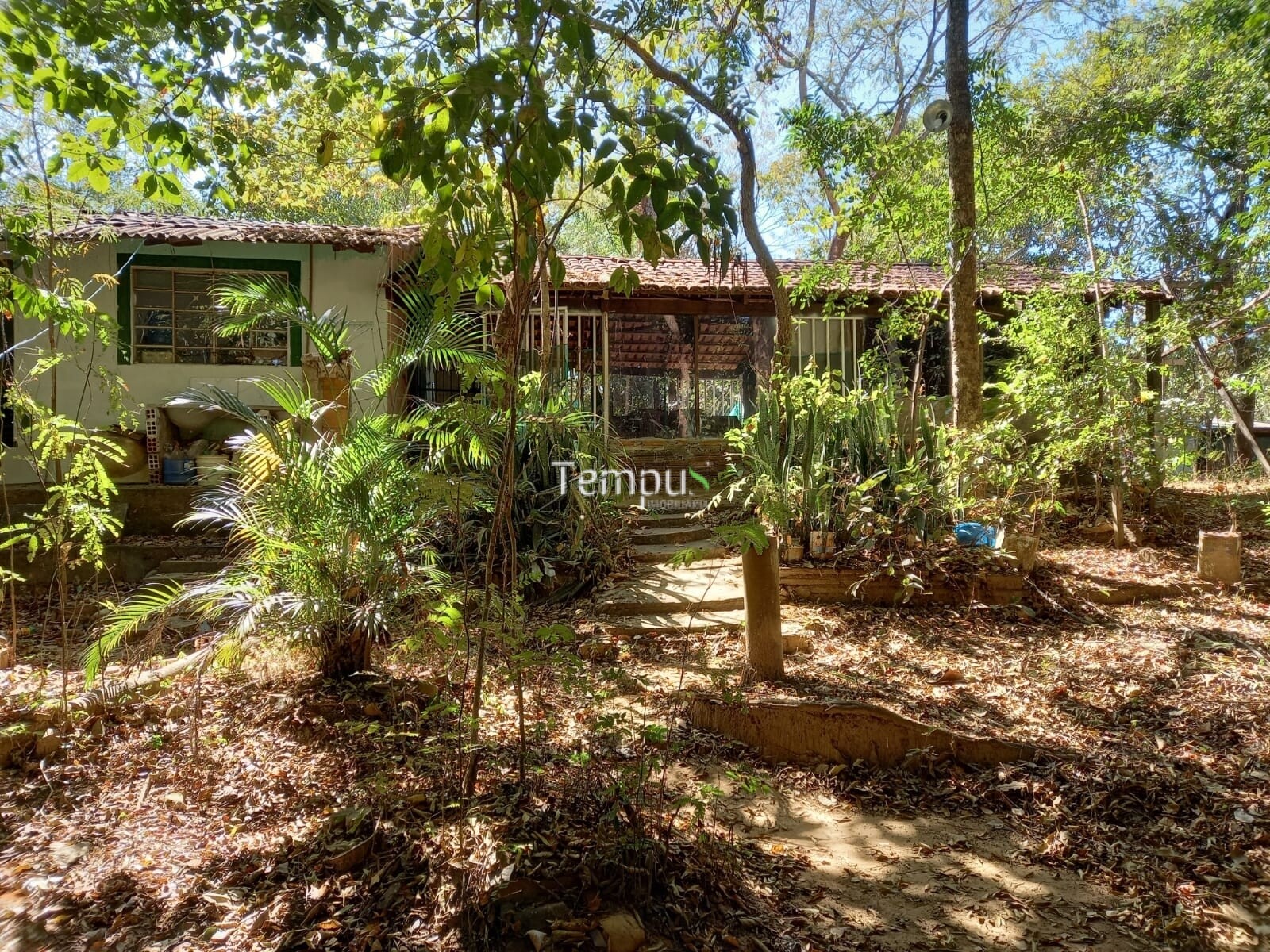 Fazenda à venda com 1 quarto, 1820m² - Foto 12