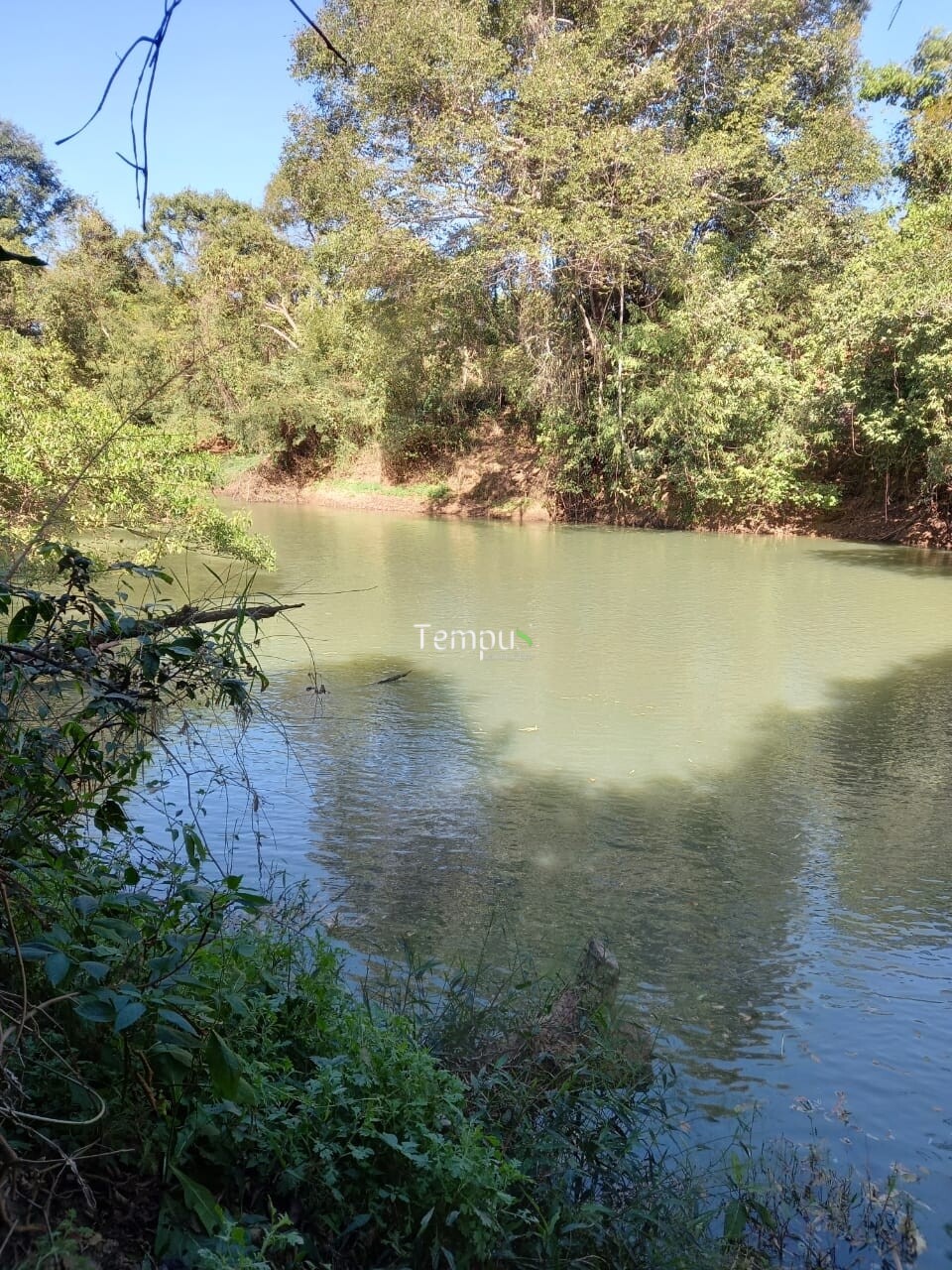 Fazenda à venda com 1 quarto, 1820m² - Foto 16
