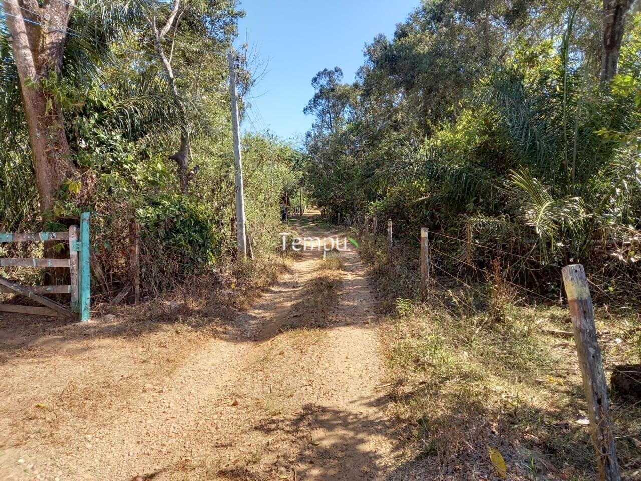 Fazenda à venda com 1 quarto, 1820m² - Foto 4