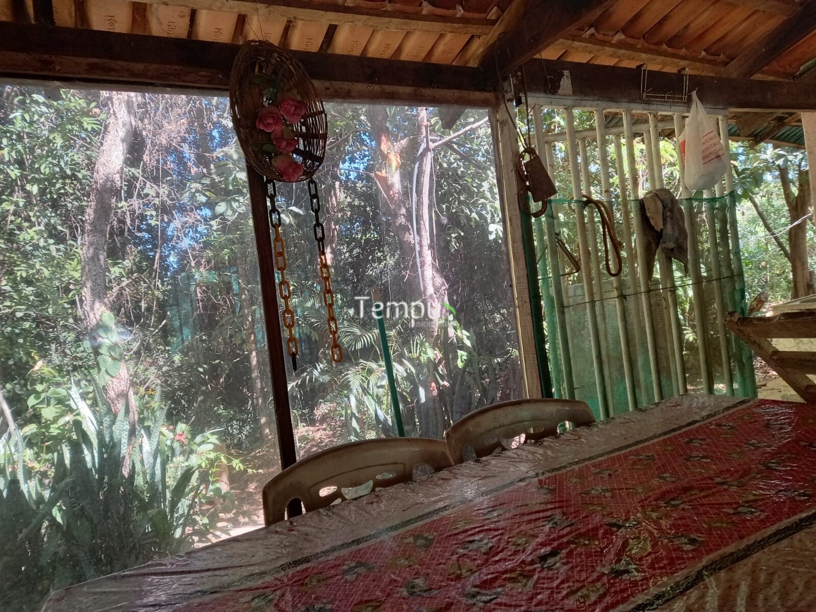 Fazenda à venda com 1 quarto, 1820m² - Foto 25