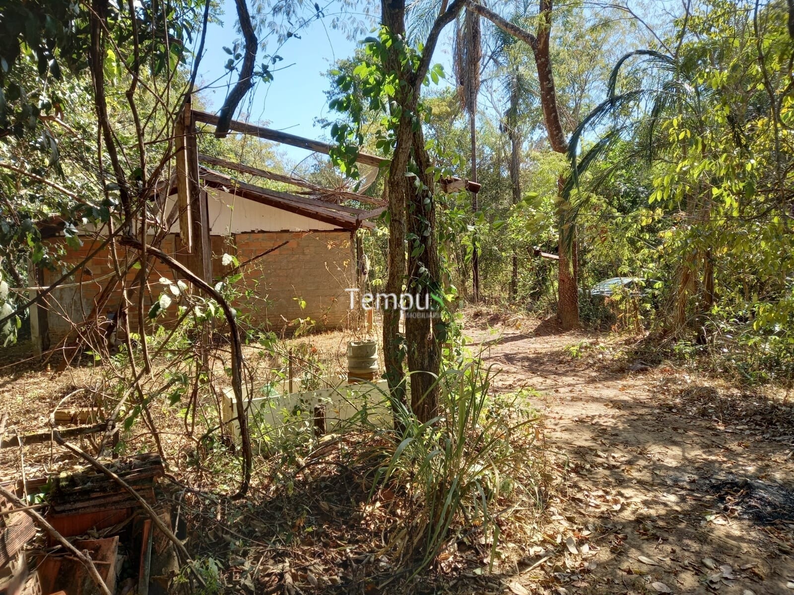 Fazenda à venda com 1 quarto, 1820m² - Foto 24