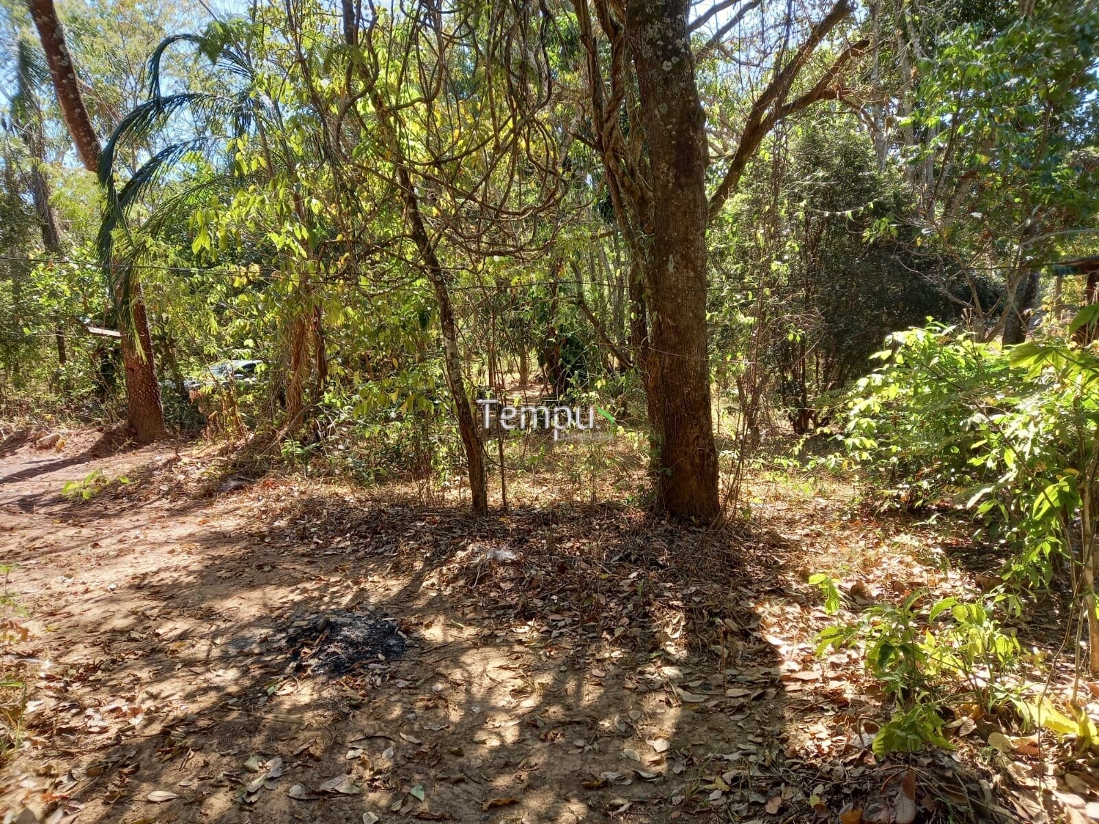 Fazenda à venda com 1 quarto, 1820m² - Foto 23