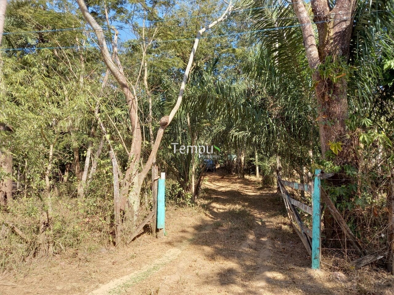 Fazenda à venda com 1 quarto, 1820m² - Foto 6