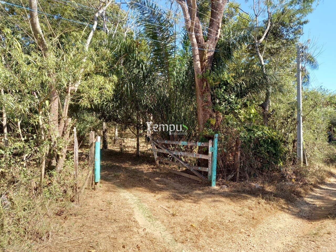 Fazenda à venda com 1 quarto, 1820m² - Foto 2