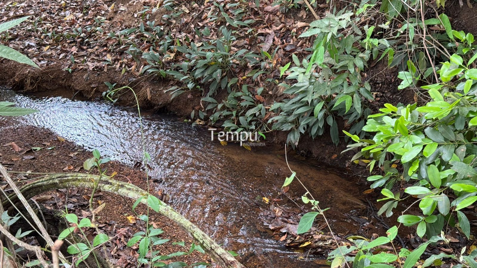 Fazenda, 200860 hectares - Foto 13