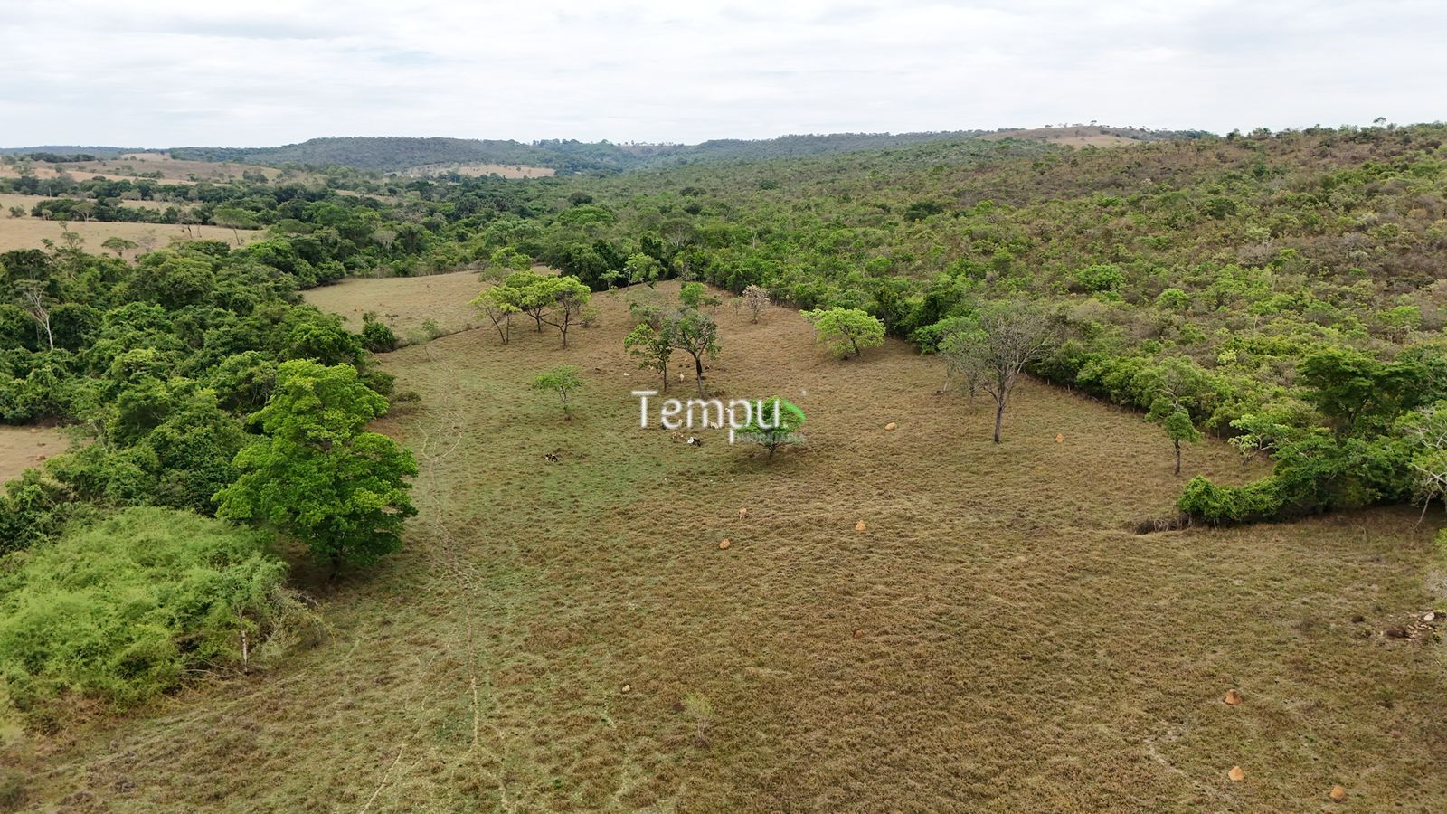 Fazenda, 200860 hectares - Foto 1