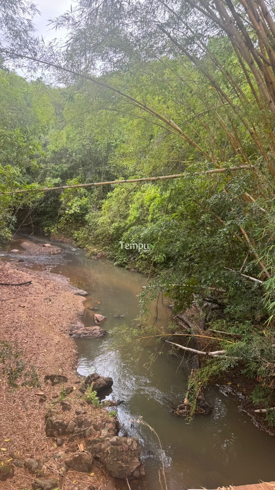 Fazenda, 200860 hectares - Foto 19