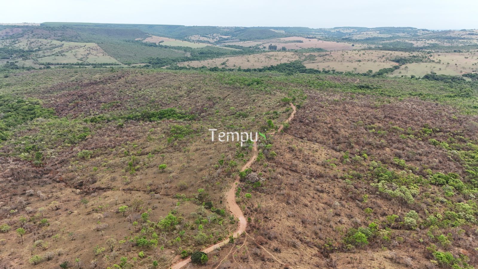 Fazenda, 200860 hectares - Foto 9