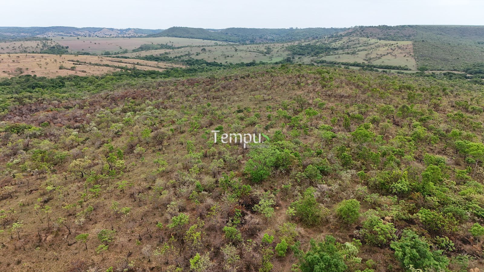 Fazenda, 200860 hectares - Foto 17