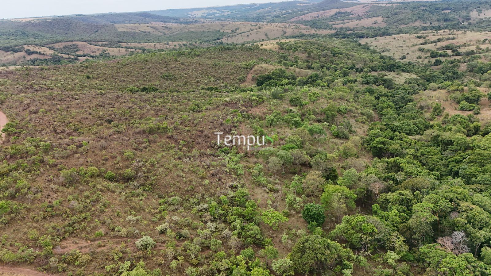 Fazenda, 200860 hectares - Foto 8