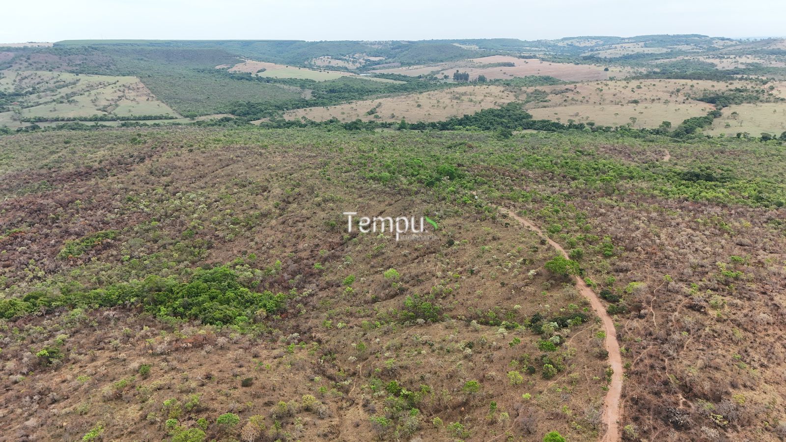 Fazenda, 200860 hectares - Foto 7