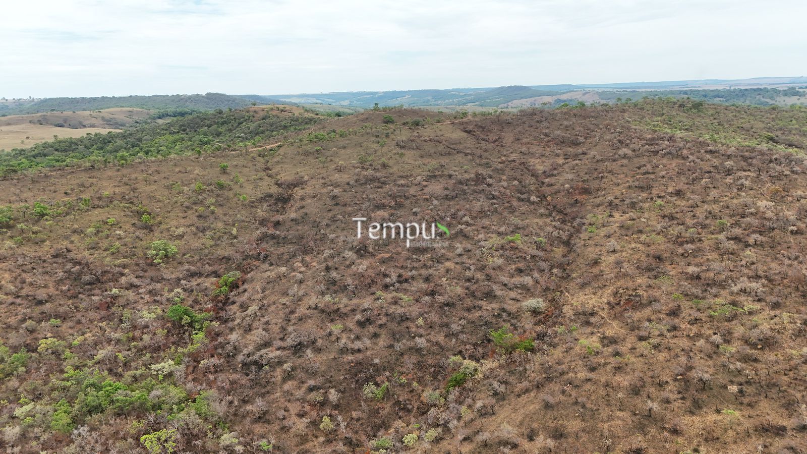 Fazenda, 200860 hectares - Foto 2