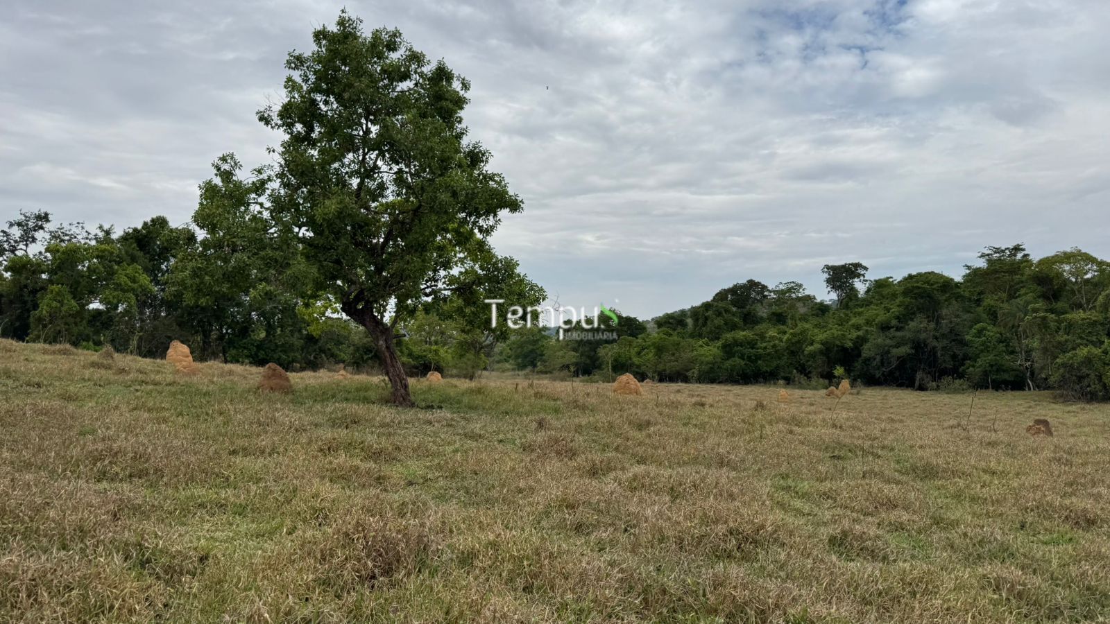 Fazenda, 200860 hectares - Foto 20