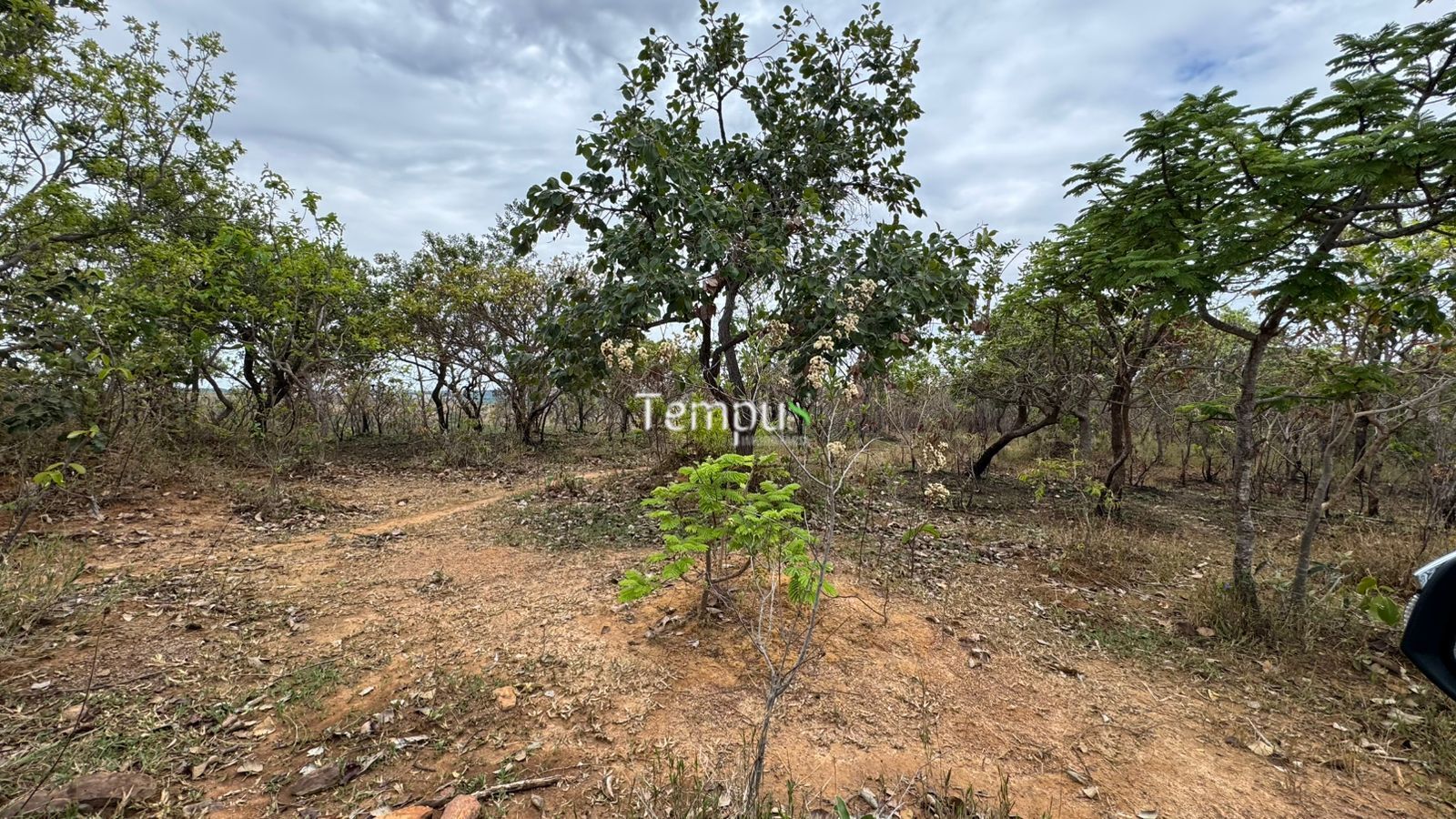 Fazenda, 200860 hectares - Foto 14