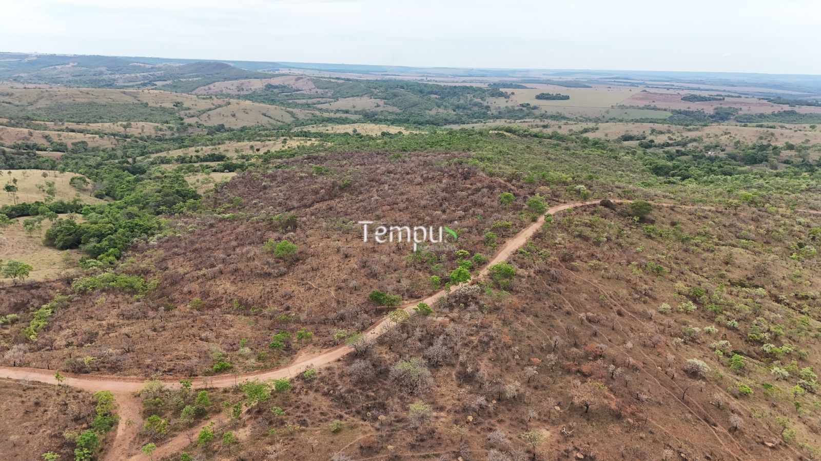 Fazenda, 200860 hectares - Foto 6