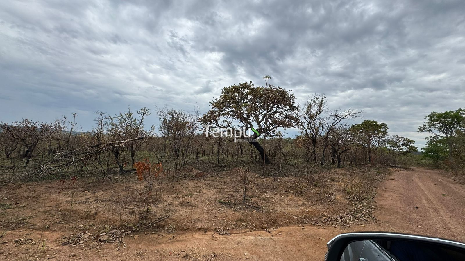 Fazenda, 200860 hectares - Foto 18